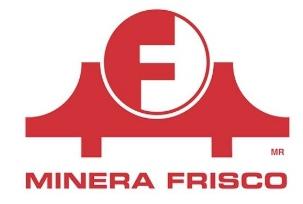 Logo Item